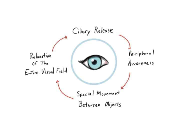 Four Parts To Fixing Your Vision